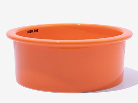 Big Bowl - Orange (Glossy) Online now