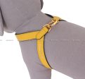 [PRE ORDER] Yellow Harness Sale