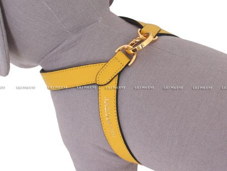 [PRE ORDER] Yellow Harness Sale