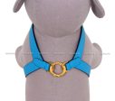 [PRE ORDER] Blue Harness Online Sale