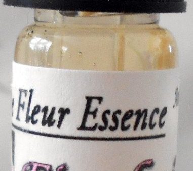 Fimbriata, Antique Rose Flower Essence, Rosa rugosa x Mdm. Alfred Carriere, 1811 Online