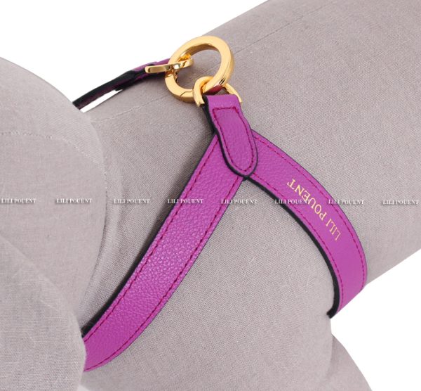 [PRE ORDER] Purple Harness Fashion