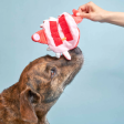 Crab Nosework Toy For Discount