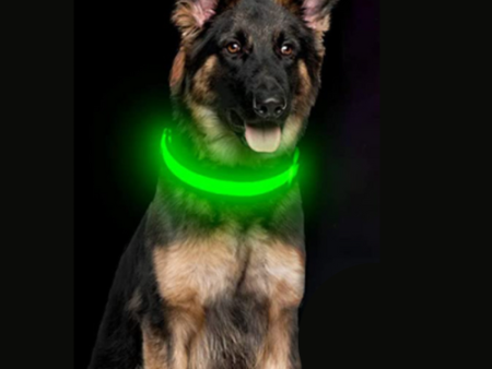 LED Rechargeable Dog Collar Online