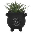 Pentagram Cauldron Plant Pot Cheap