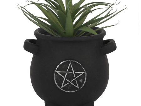 Pentagram Cauldron Plant Pot Cheap