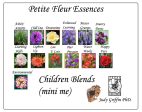 Children s Petite Fleur Blend (mini me) Kit For Sale