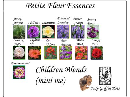 Children s Petite Fleur Blend (mini me) Kit For Sale