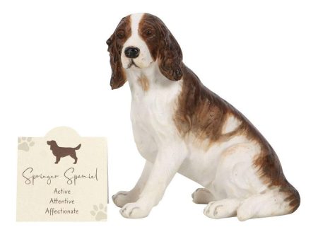 Springer Spaniel Dog Ornament Discount