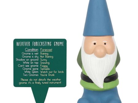 Large Weather Forecasting Gnome Online