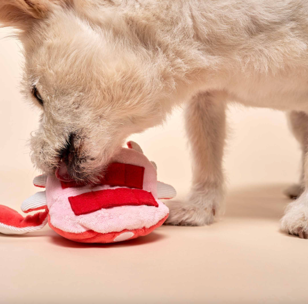 Crab Nosework Toy For Discount