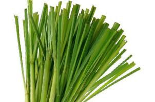 Lemongrass ,Cynbopogan citratis, Essential Oil For Discount