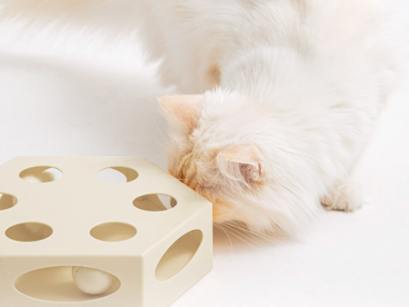 Cats Cake Automatic Toy Online now