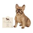 French Bull Dog Ornament Online now