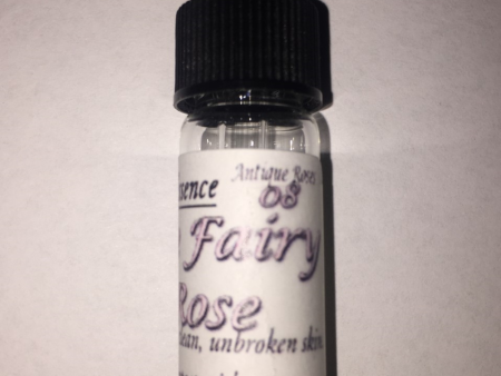 Fairy Rose Antique Rose Flower Essence,Rosa chinensis minima Supply