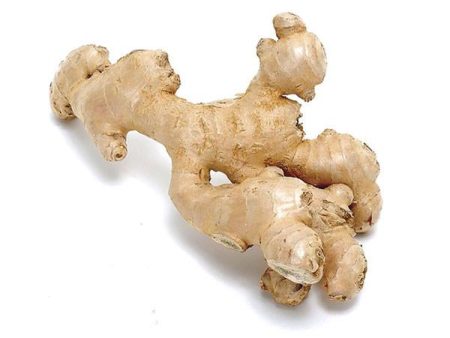 Ginger root, Zingiber officinales, Essential Oil Healing Water Supply