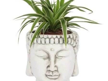 White Terracotta Buddha Head Planter Fashion