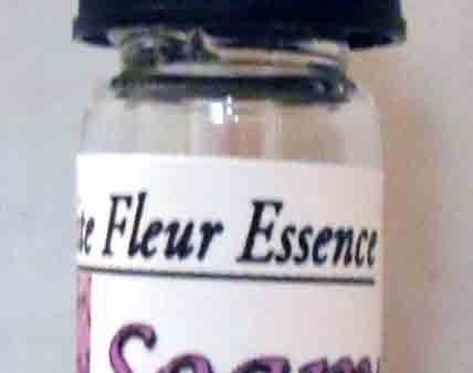 Soapwort ,Sponaria sanguisorba, Flower Essence Sale