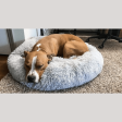 Calming Doughnut Bed For Cheap