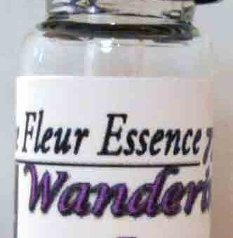 Wandering Jew, Purple Heart,Setcreasea purpurea, Flower Essence Cheap