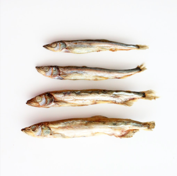 Freeze Dried Capelin Online now