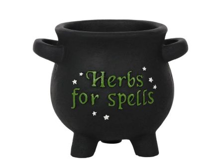 Small Herbs For Spells Cauldron Plant Pot Online