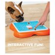 Challenge Slider Interactive Treat Puzzle go Toy Online Sale