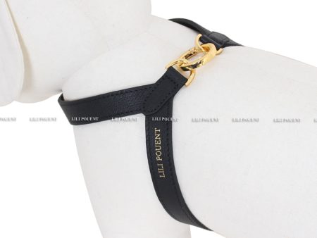 [PRE ORDER] Black Harness on Sale