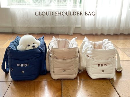 Cloud Shoulder Bag For Cheap