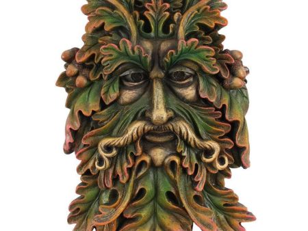 Green Man Face Plaque Hot on Sale