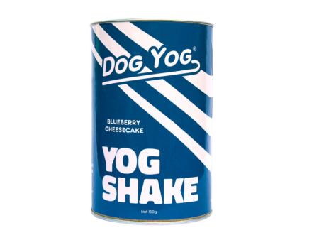 YOG SHAKE - BLUEBERRY CHEESECAKE For Discount