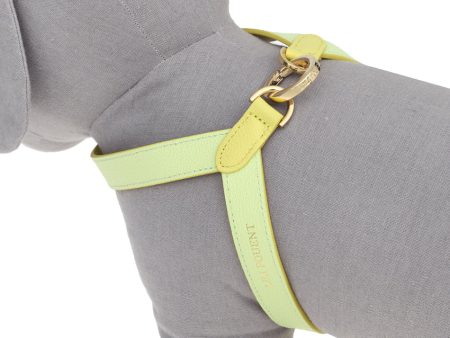 [PRE ORDER] LEMON MELON HARNESS Online now