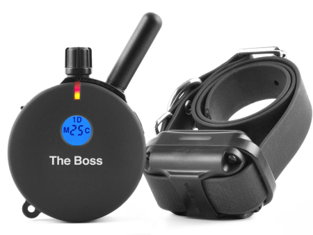 ET-800 “The Boss” E-Collar Dog For Discount