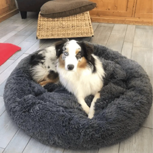 Calming Doughnut Bed For Cheap