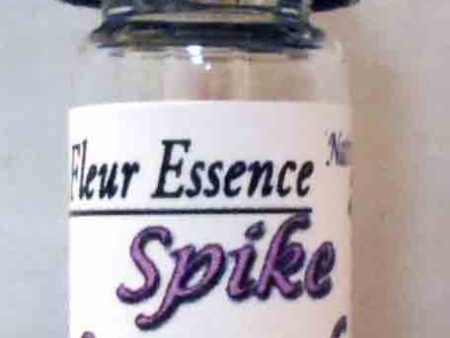 Spike Lavender,Lavendula latifolia Flower essence Online Hot Sale