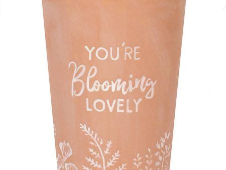 You re Blooming Lovely Terracotta Plant Pot Online Sale