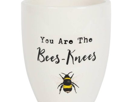 You Are the Bees Knees Ceramic Plant Pot Hot on Sale