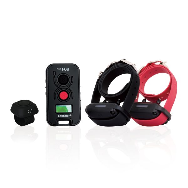 FE-560 FOB Educator E-Collar Remote Dog Trainer Cheap