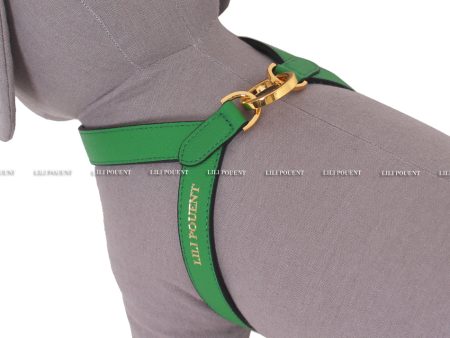 [PRE ORDER] Green Harness Hot on Sale