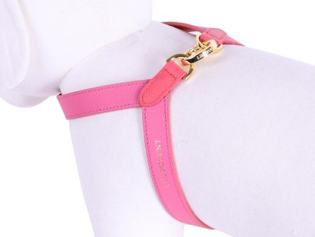 [PRE ORDER] ROSE CORAL AZALEA HARNESS Hot on Sale